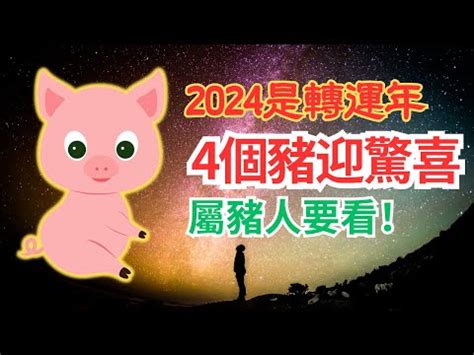 豬年運勢|【2024 豬】2024 豬年精彩運勢全解析！運勢喜憂參。